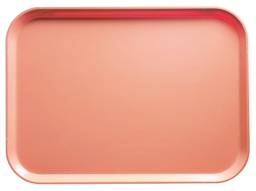 [1116177] Tácka CAMTRAY 27,5x40,5
